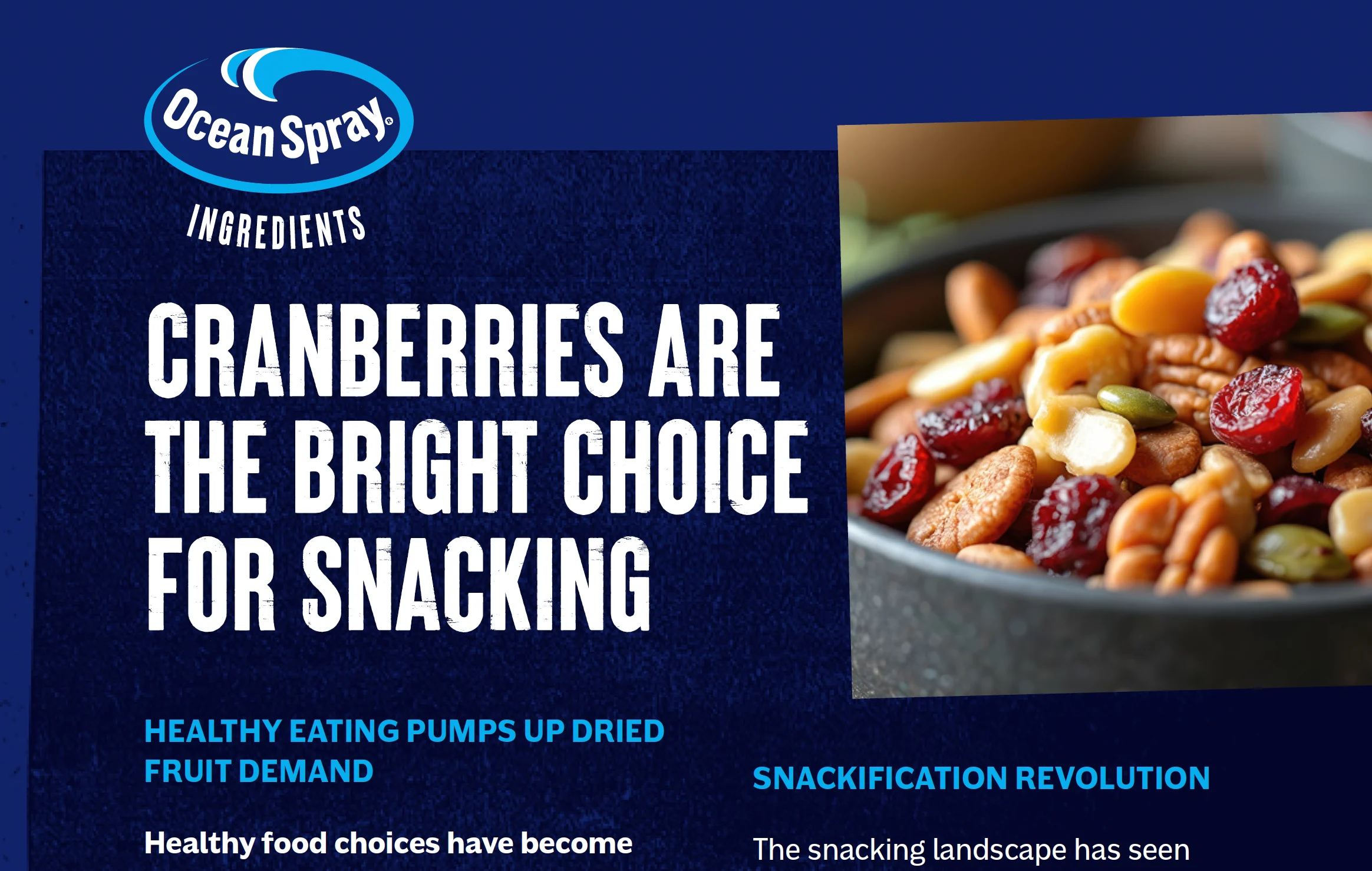 ingredient snack case study cover